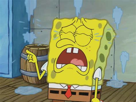 spongebob crying|spongebob a day without tears.